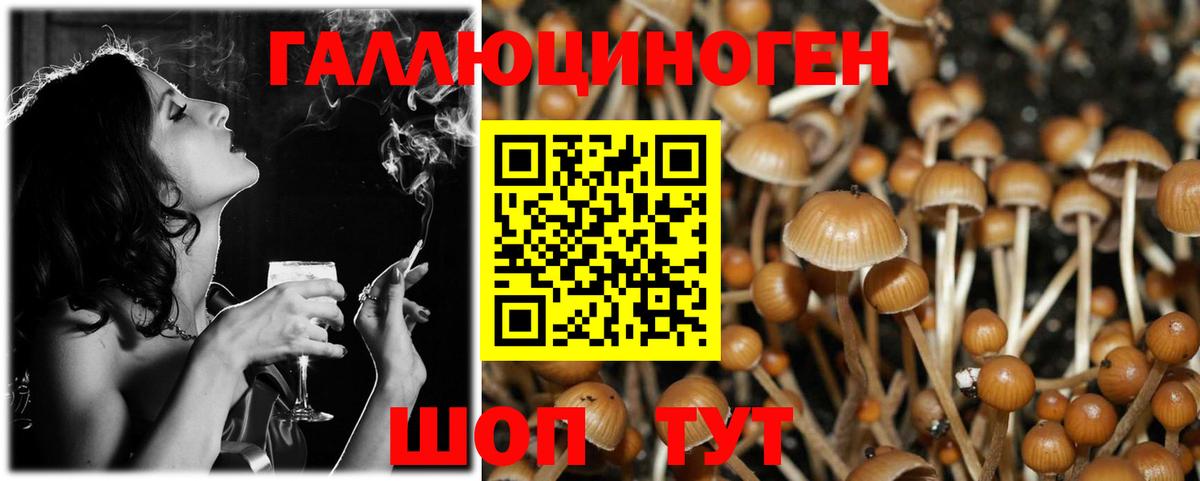 Бугульма  Псилоцибиновые грибы Psilocybine cubensis  Вход с VPN 