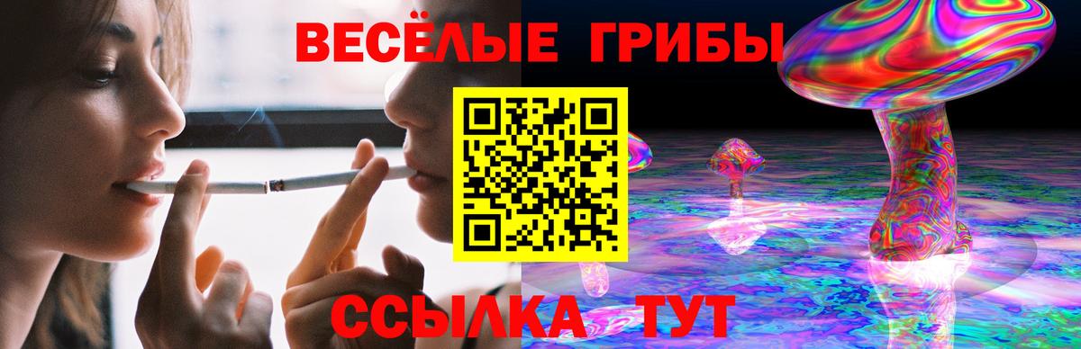 Псилоцибиновые грибы прущие грибы Бугульма